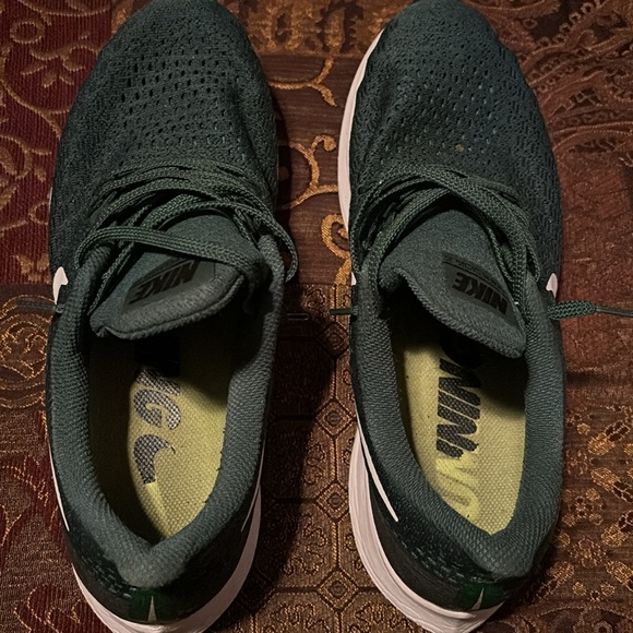 Nike Zoom Pegasus 35 main image 6